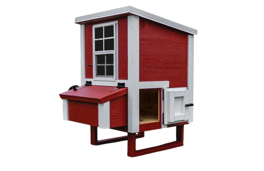Small Chicken Coop - Up to 6 Chickens